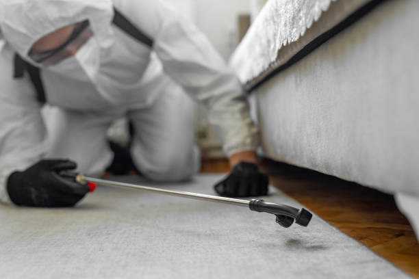 Professional Bed Bug Control technician working in Grambling, LA